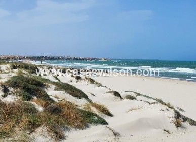 New Build - Villa - Pilar de la Horadada