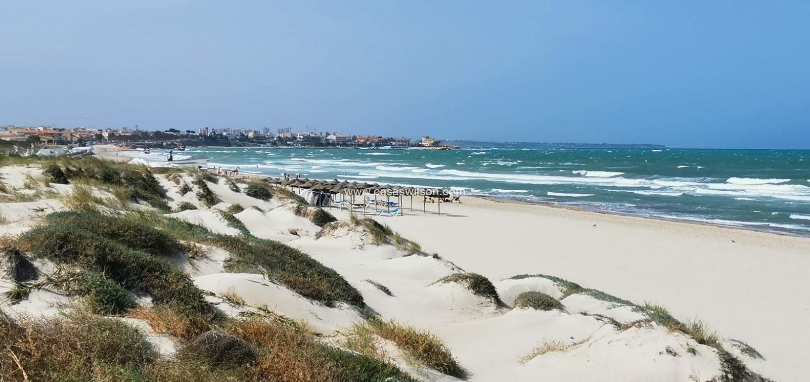 New Build - Villa - Pilar de la Horadada