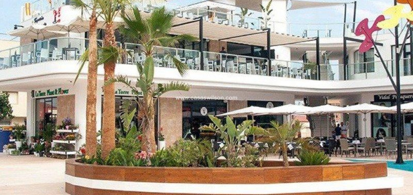 New Build - Villa - Pilar de la Horadada