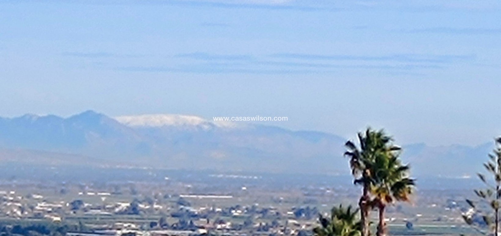 Sale - Villa - Algorfa - Lomas de Juliana