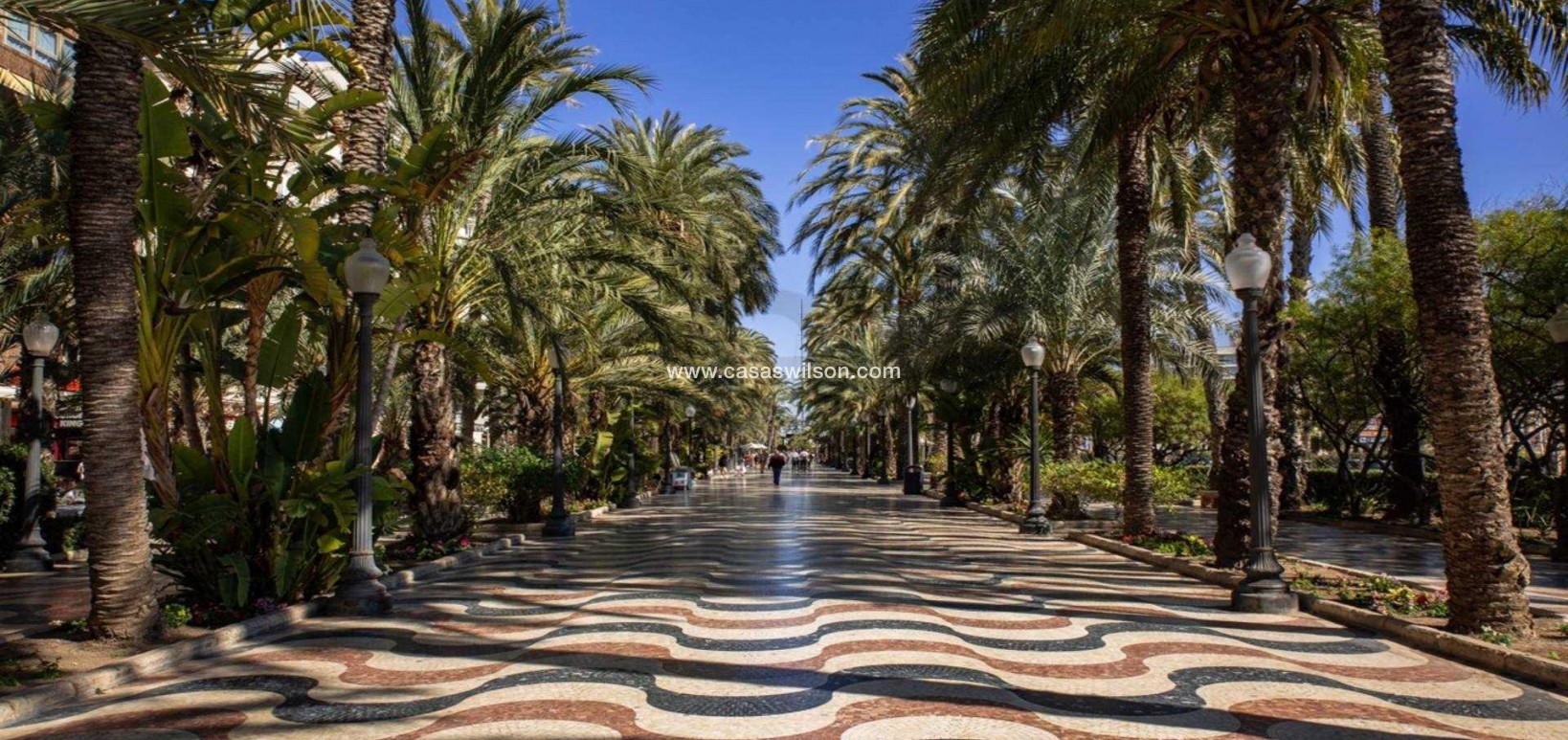 New Build - Apartment - Alicante - Centro