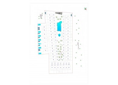 New Build - Appartement - Torrevieja - Punta prima