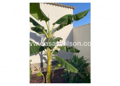 Sale - Villa - Ciudad Quesada - Quesada Center