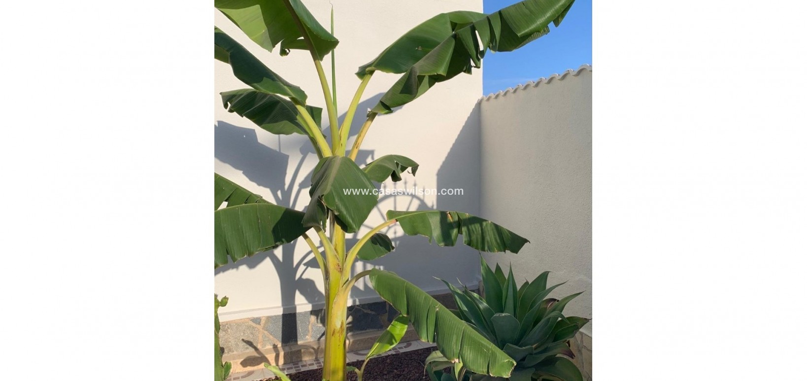 Sale - Villa - Ciudad Quesada - Quesada Center