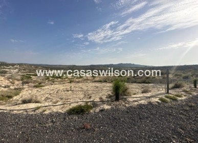 Sale - Plot of Land - Torremendo