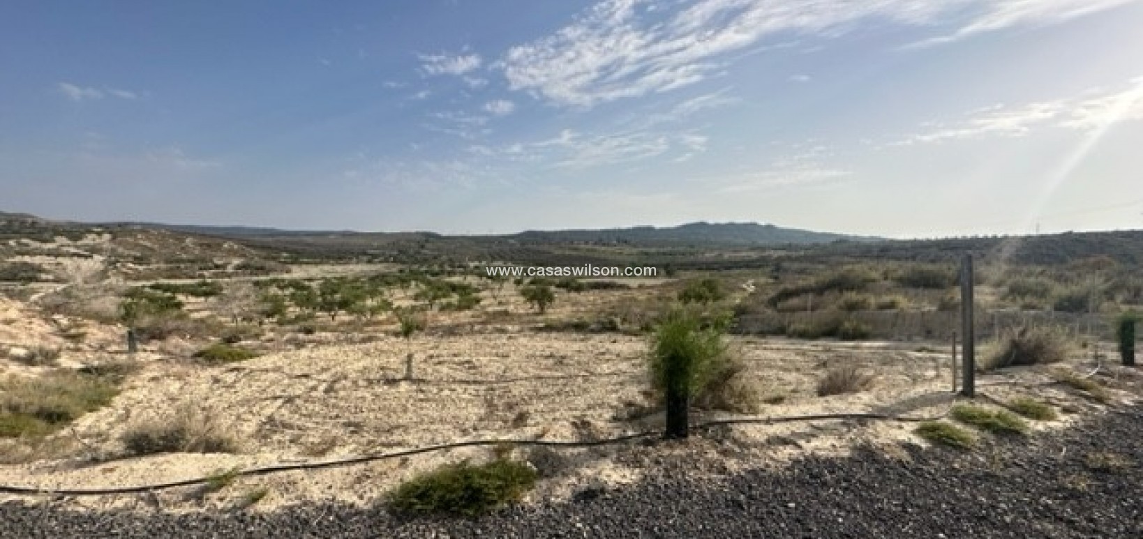 Sale - Plot of Land - Torremendo