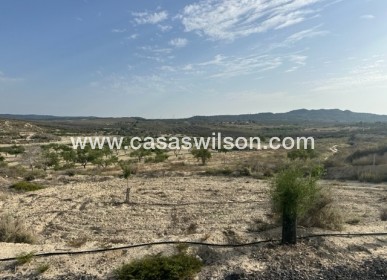 Sale - Plot of Land - Torremendo