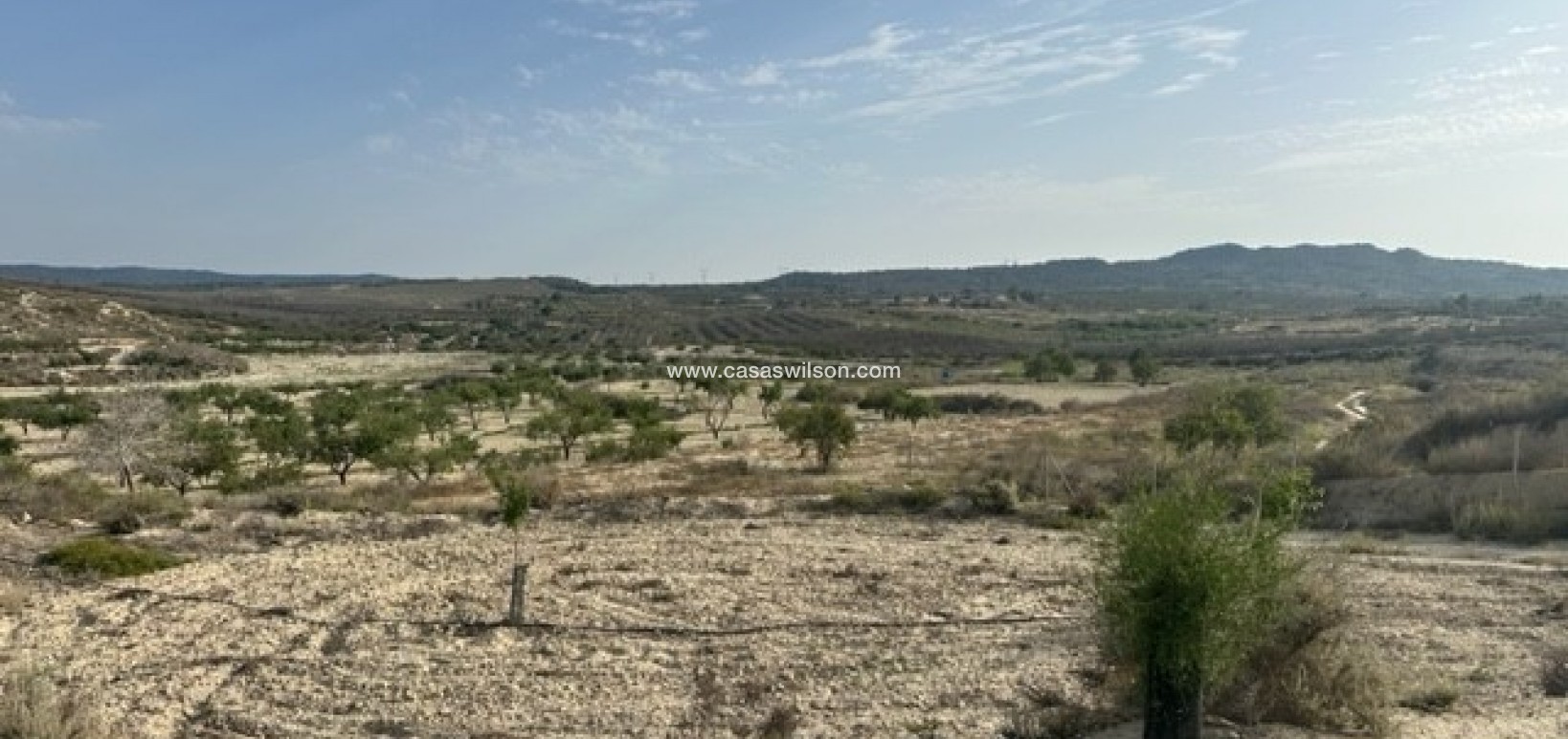 Sale - Plot of Land - Torremendo
