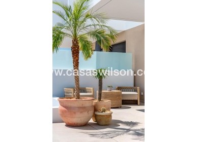 New Build - Townhouse - Dolores - Sector 3