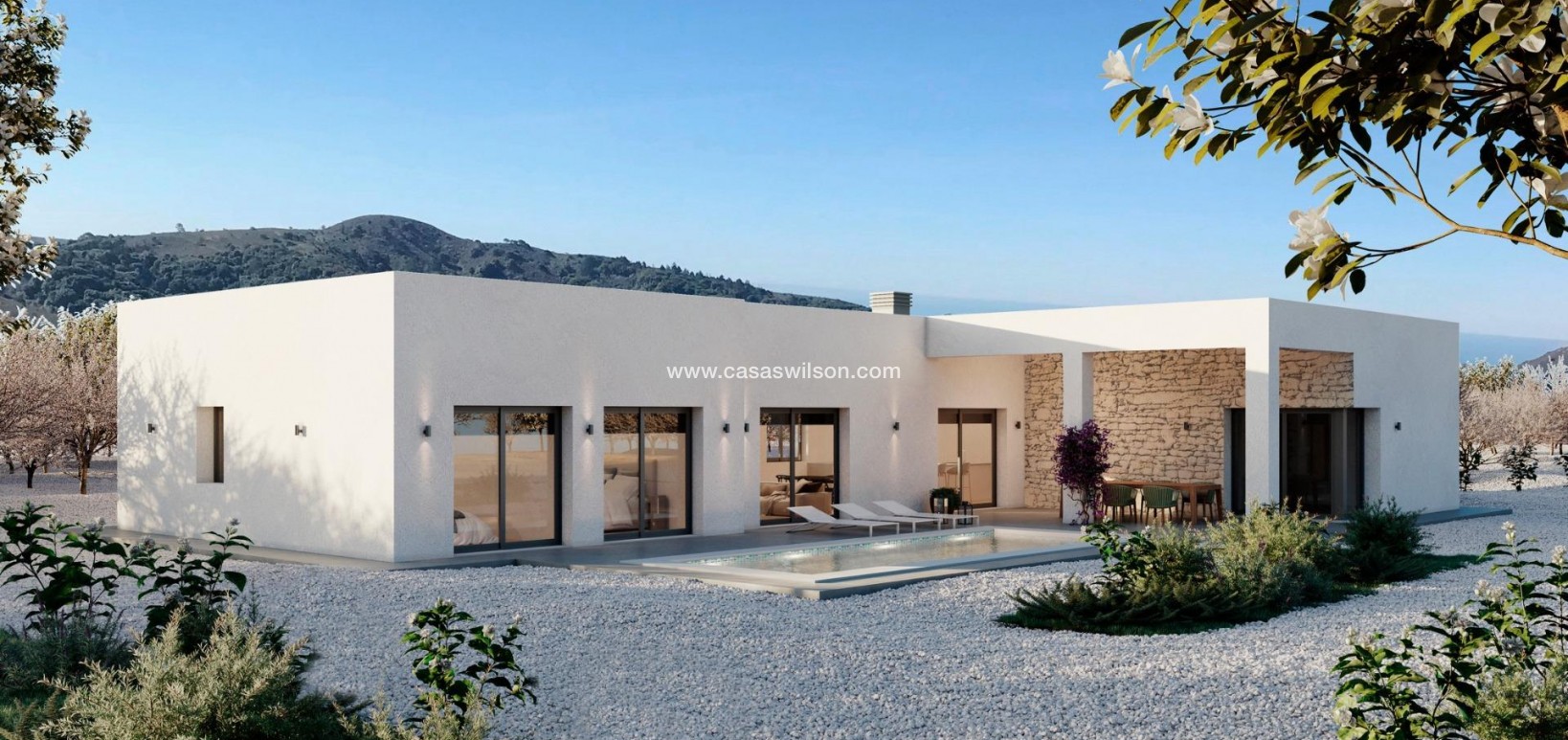 New Build - Villa - Pinoso - Campo