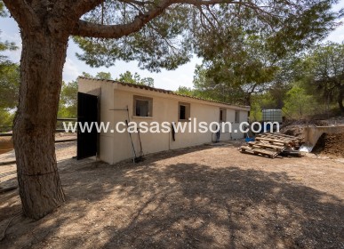 Sale - Country Property - 