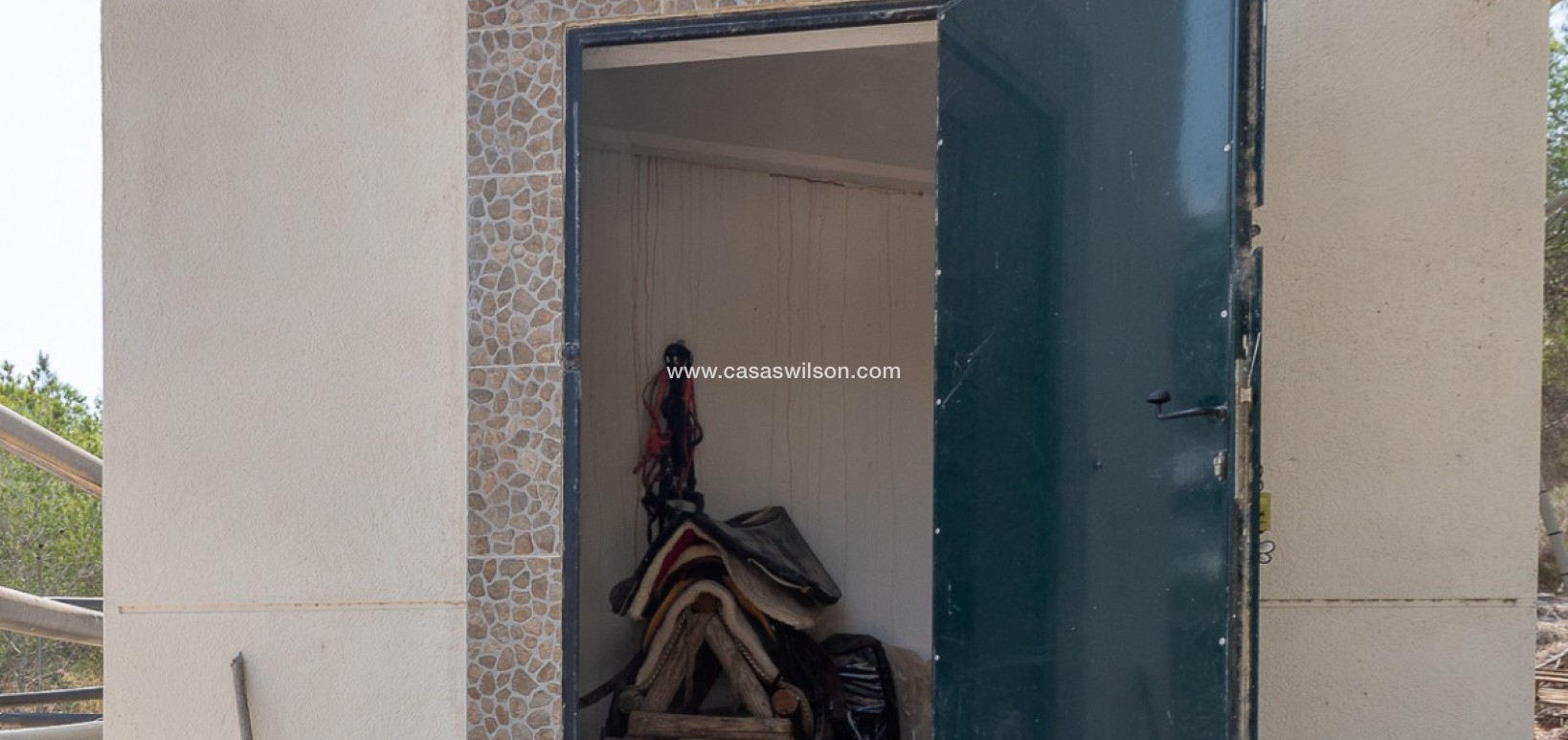 Sale - Country Property - 