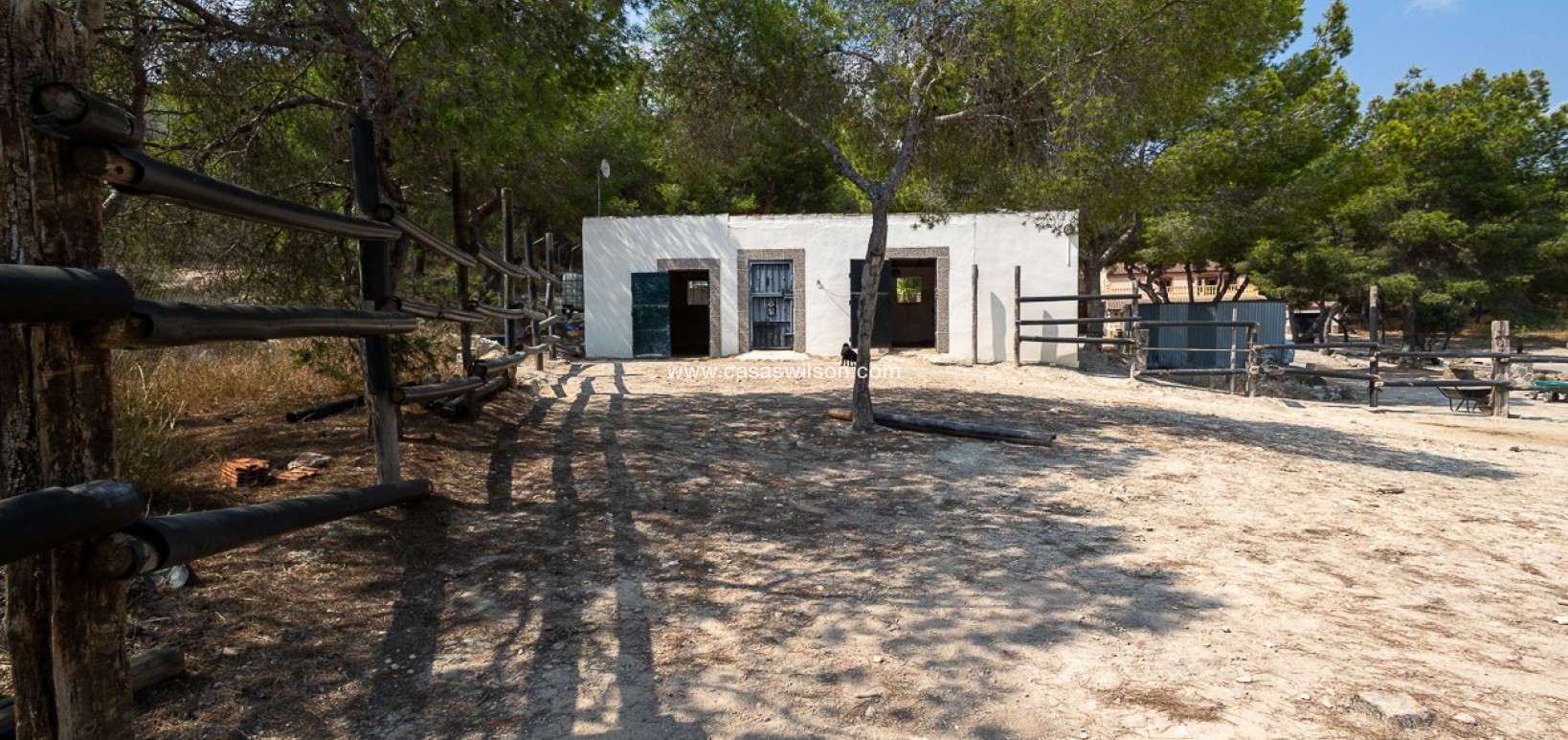 Sale - Country Property - 