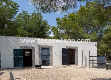 Sale - Country Property - 