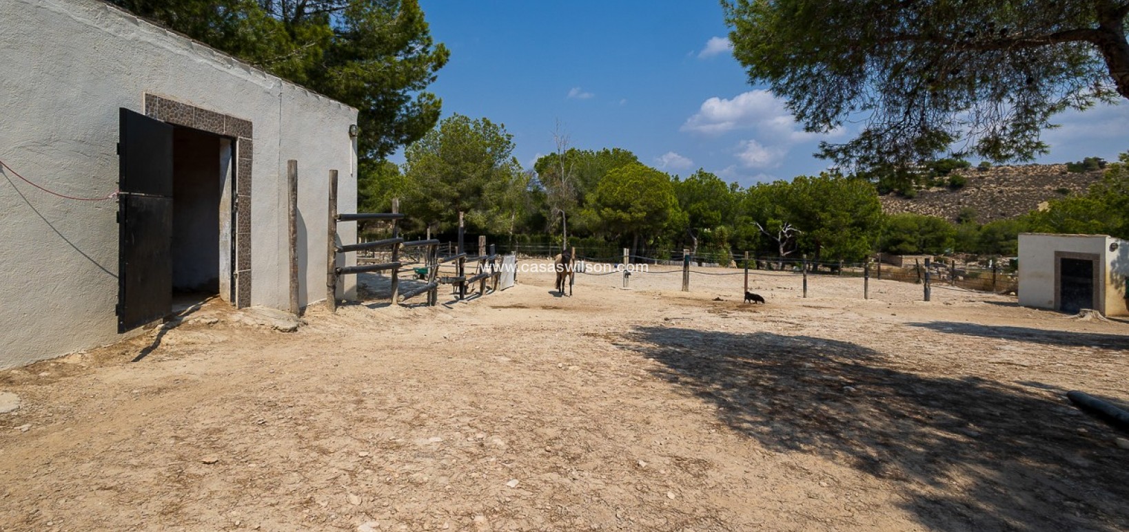 Sale - Country Property - 