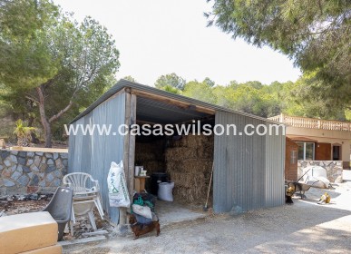 Sale - Country Property - 