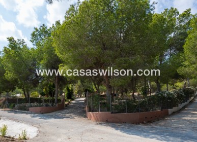 Sale - Country Property - 