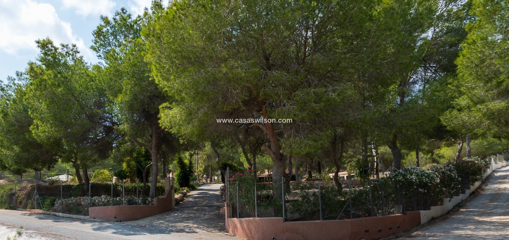 Sale - Country Property - 