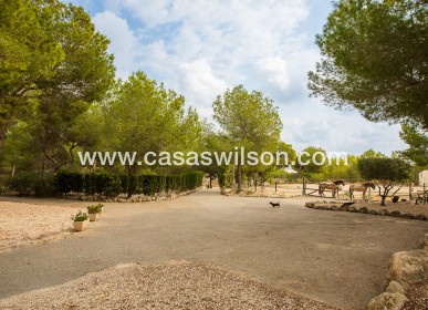 Sale - Country Property - 