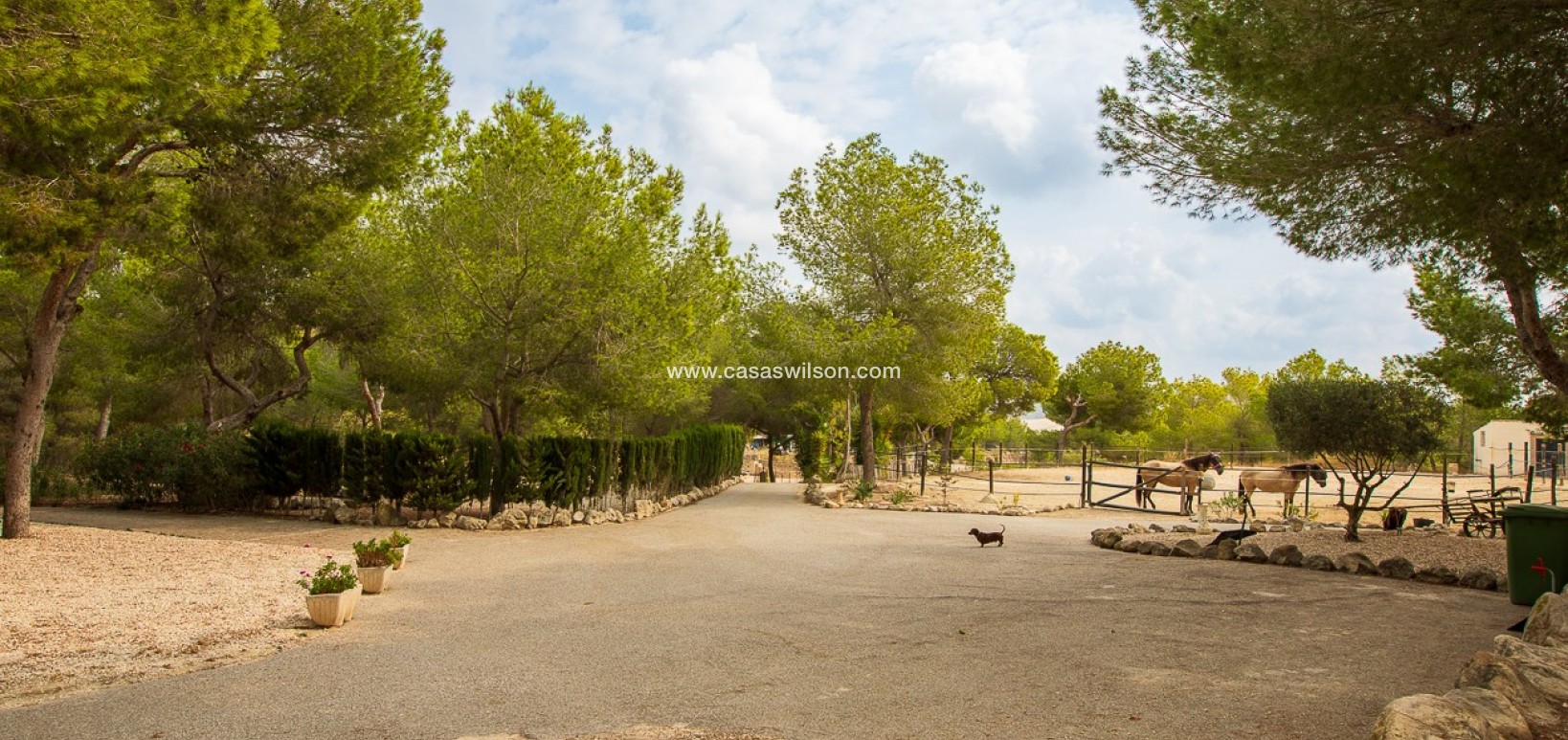 Sale - Country Property - 