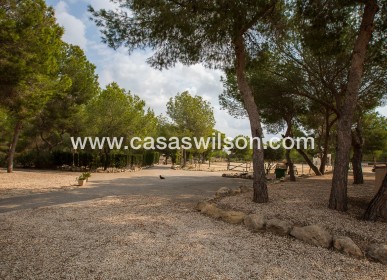 Sale - Country Property - 