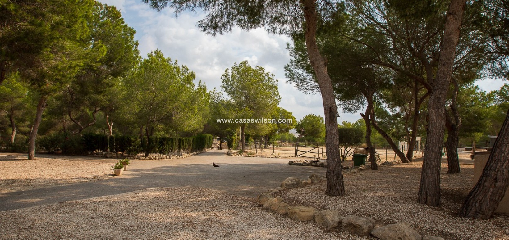 Sale - Country Property - 