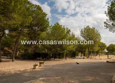 Sale - Country Property - 