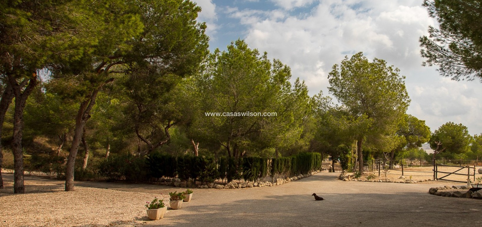 Sale - Country Property - 