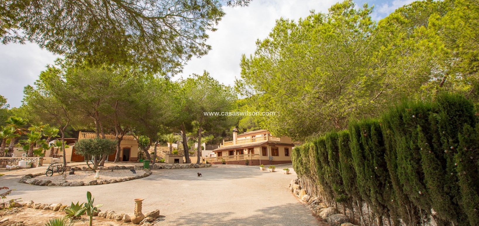 Sale - Country Property - 