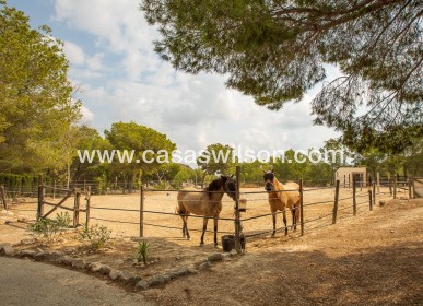 Sale - Country Property - 