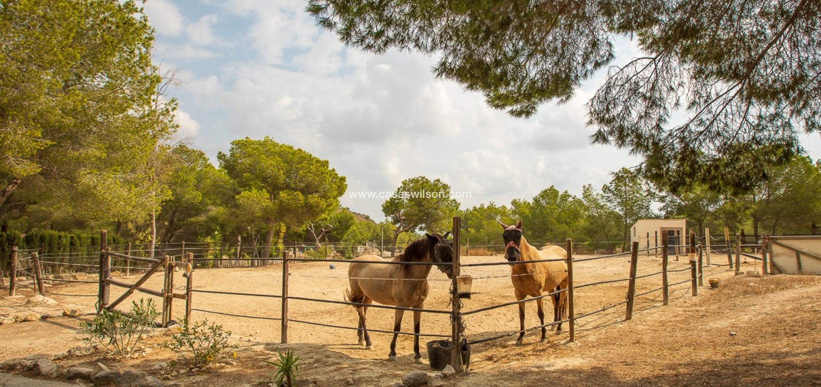 Sale - Country Property - 