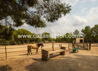 Sale - Country Property - 