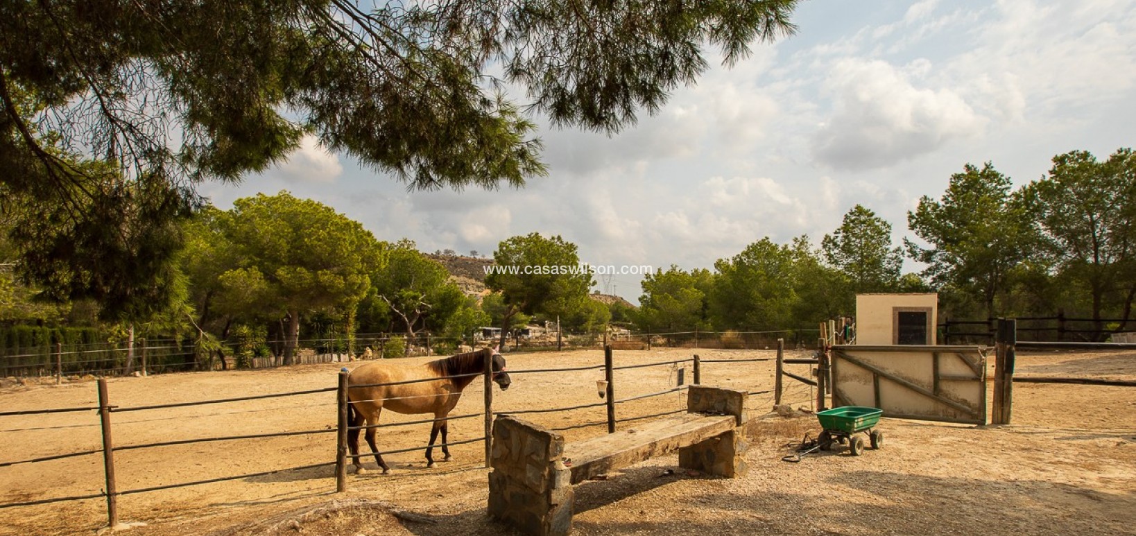 Sale - Country Property - 