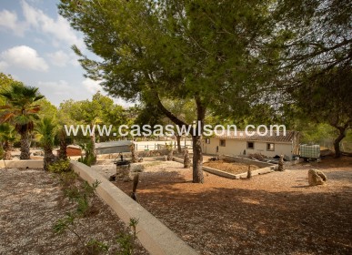 Sale - Country Property - 