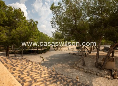 Sale - Country Property - 