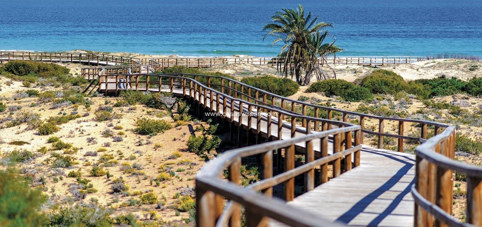 New Build - Appartement - Monforte del Cid - Alenda Golf