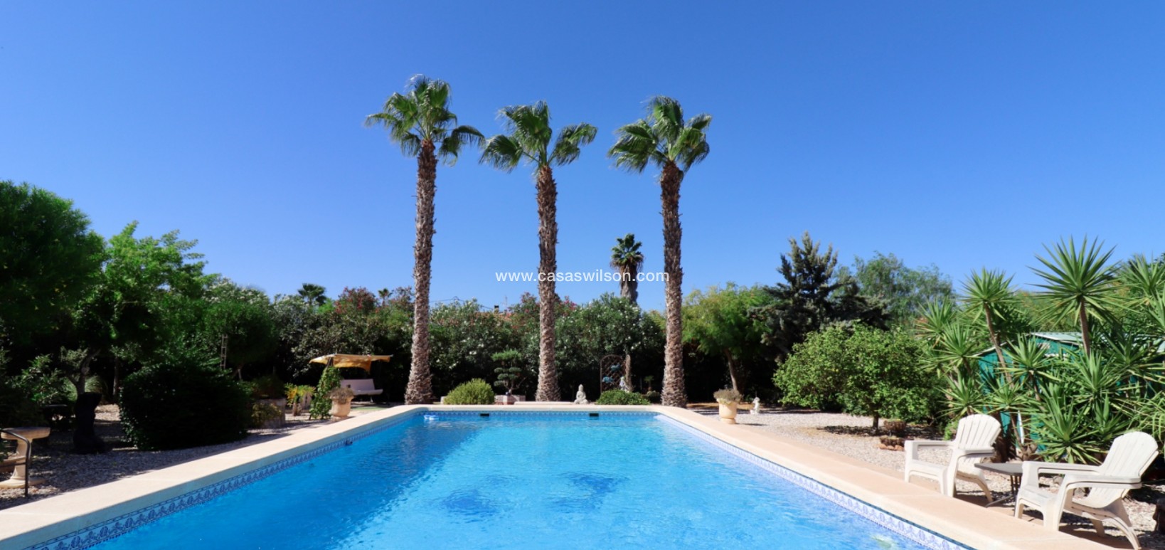 Sale - Country Property - Catral