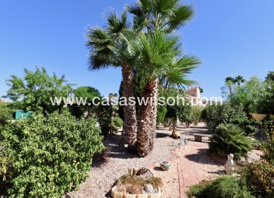 Sale - Country Property - Catral