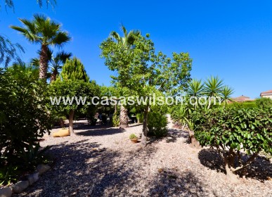Sale - Country Property - Catral