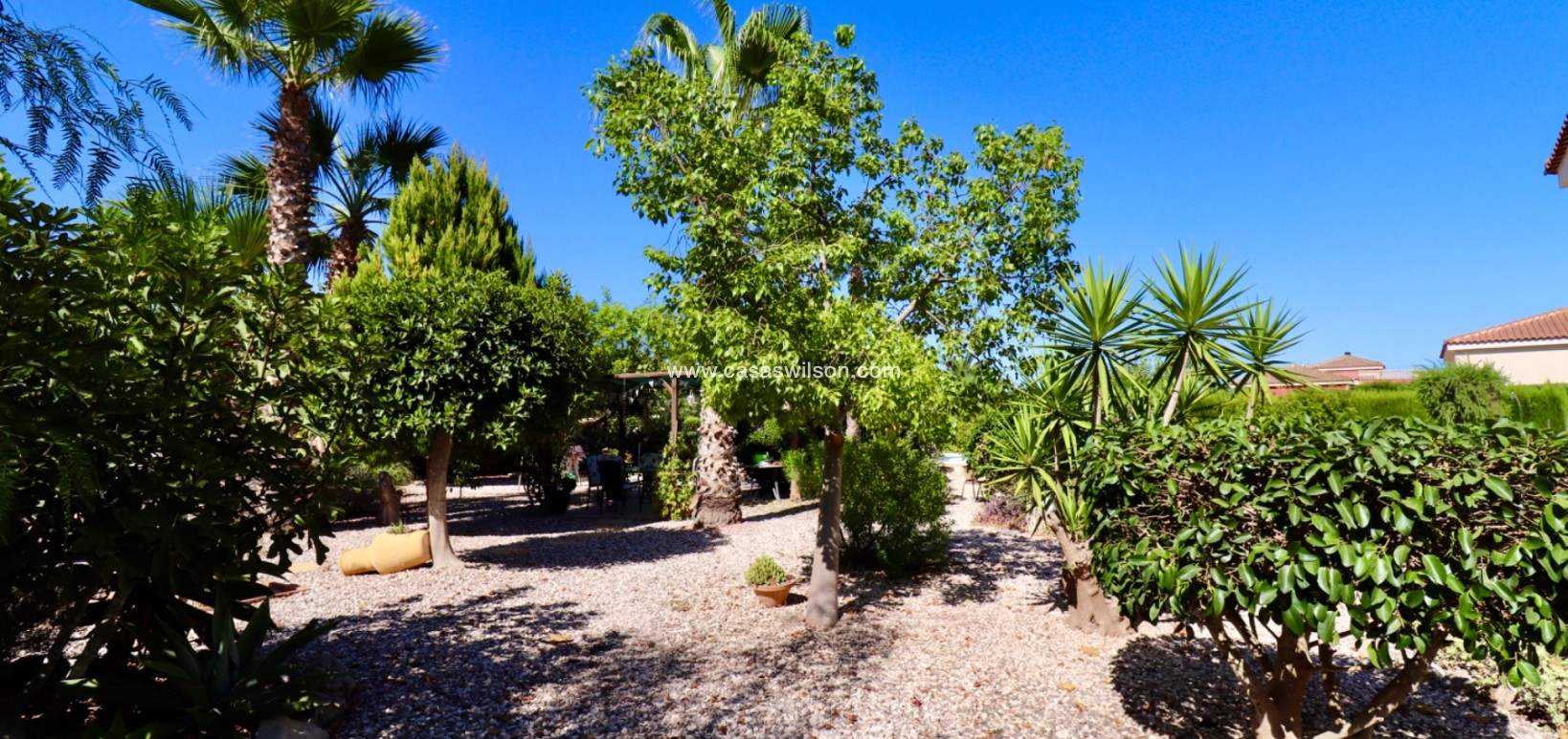 Sale - Country Property - Catral