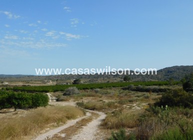 Sale - Plot of Land - Torremendo