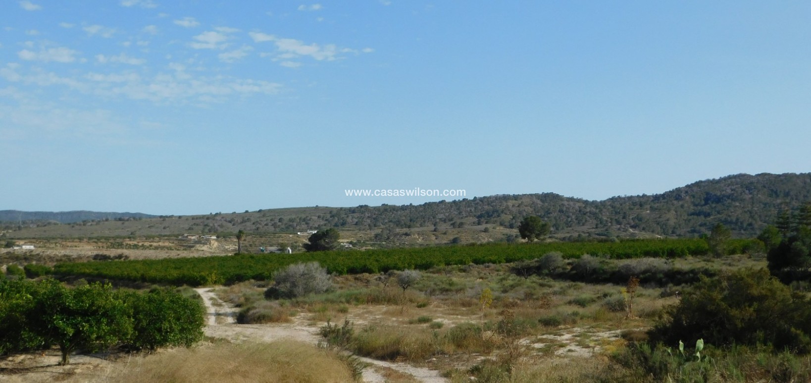 Sale - Plot of Land - Torremendo