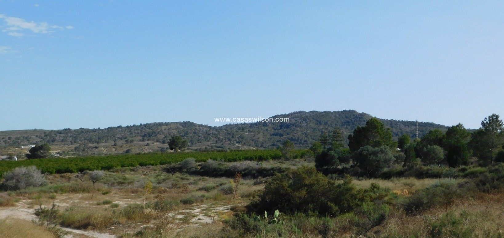 Sale - Plot of Land - Torremendo