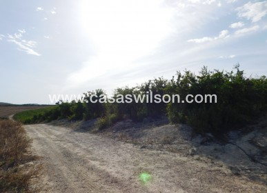 Sale - Plot of Land - Torremendo