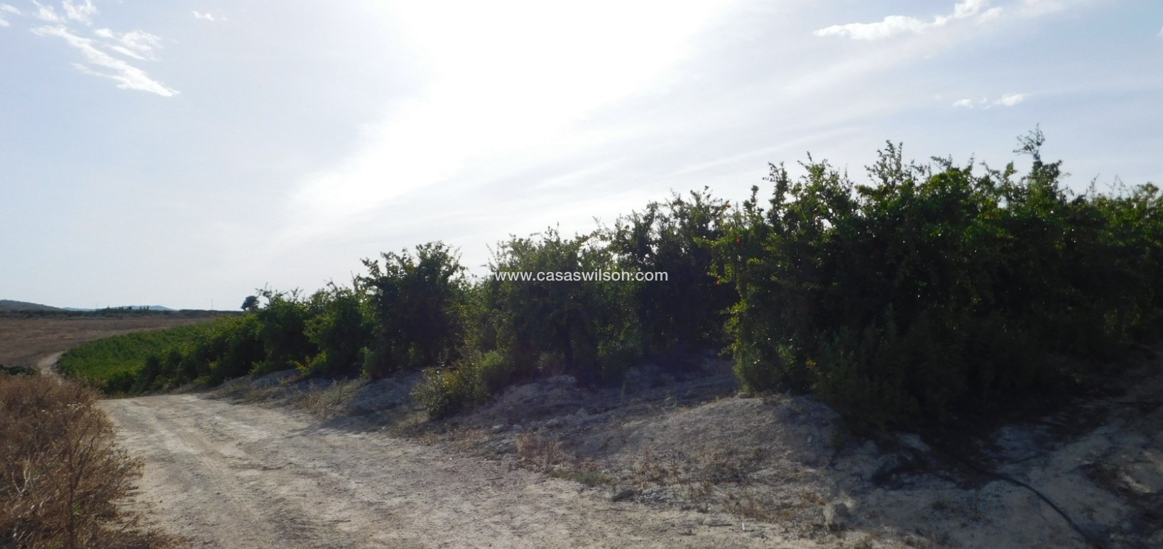 Sale - Plot of Land - Torremendo