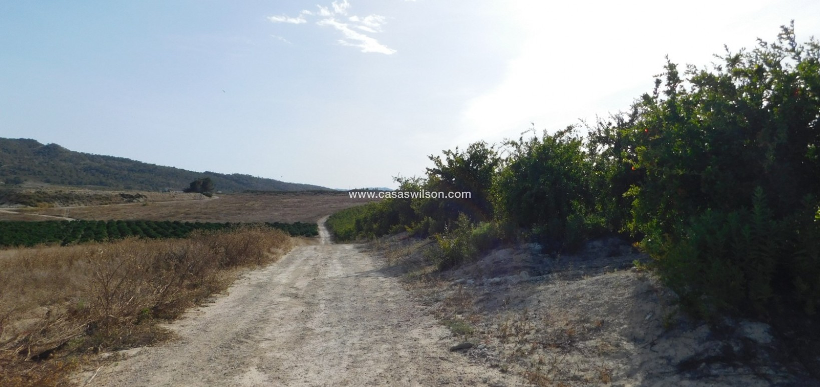 Sale - Plot of Land - Torremendo