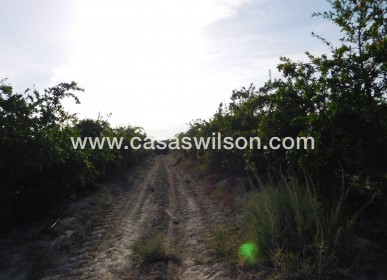 Sale - Plot of Land - Torremendo