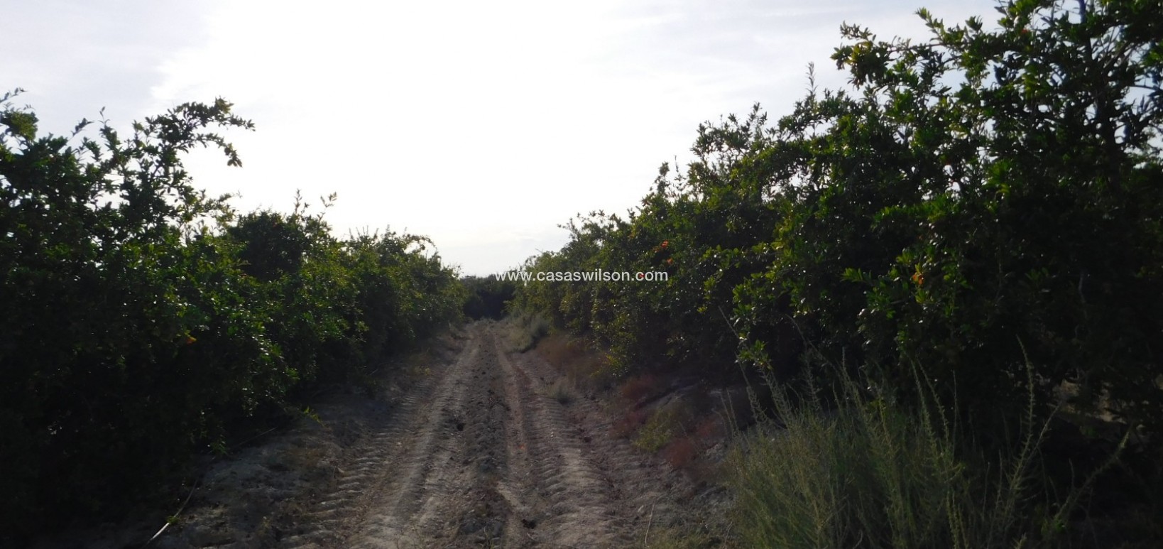 Sale - Plot of Land - Torremendo