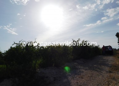 Sale - Plot of Land - Torremendo