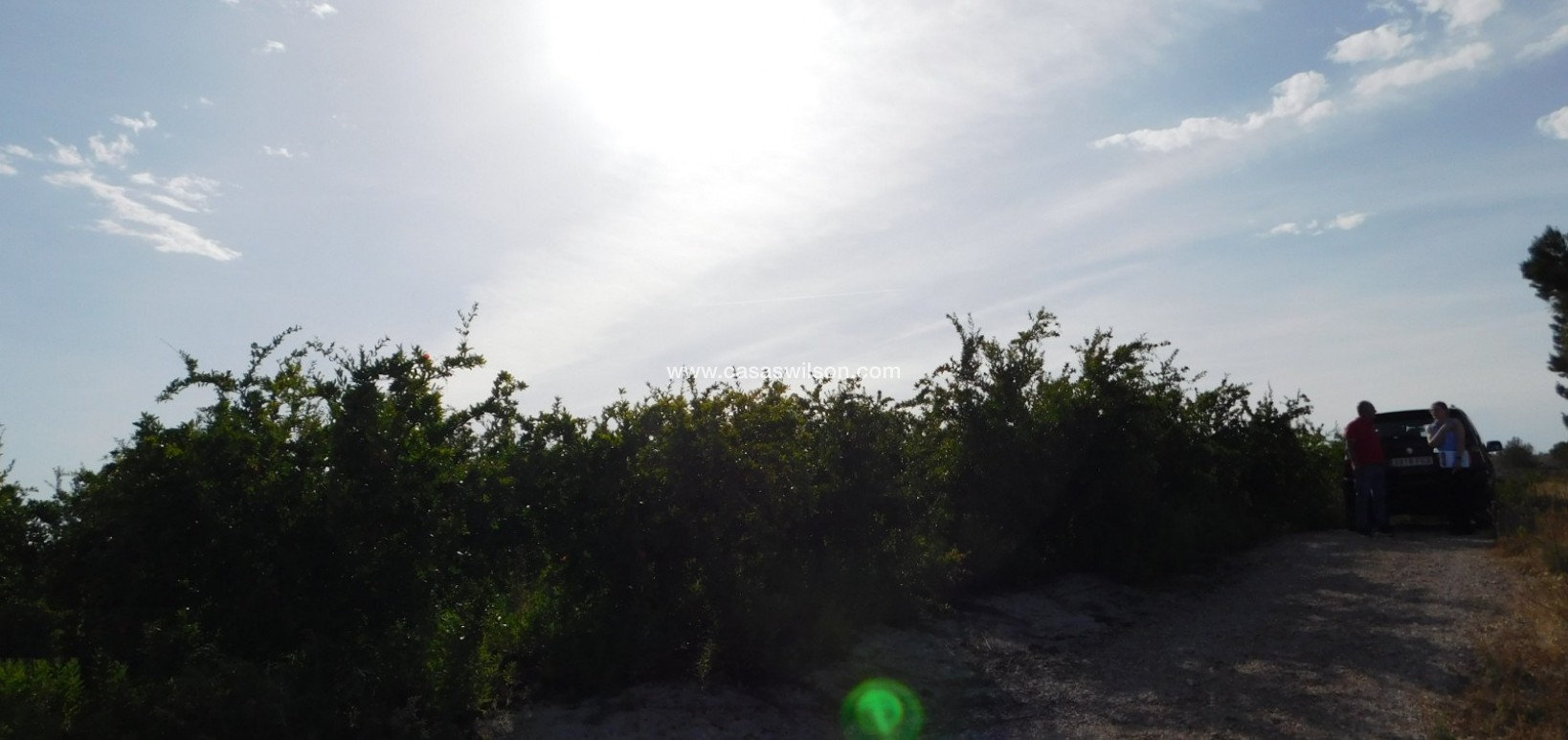 Sale - Plot of Land - Torremendo